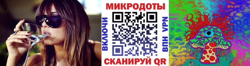 Купить закладки  Западная Двина  Галлюциногенные грибы Psilocybe 